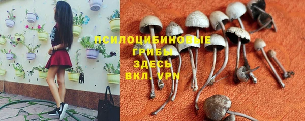 ALPHA-PVP Арсеньев