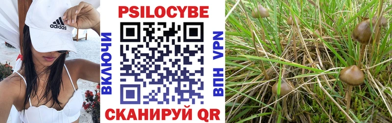Галлюциногенные грибы ЛСД  hydra ссылки  Бакал 